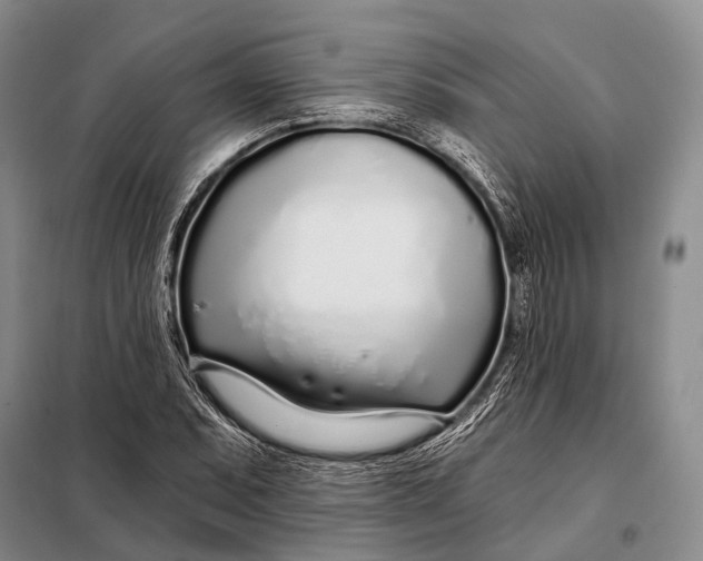 X0000098051071200804181317