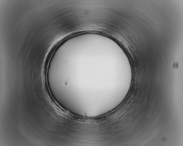 X0000098051072200804181317