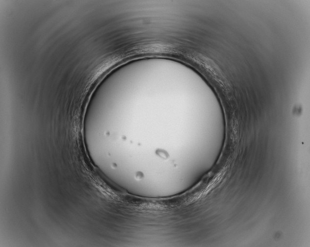 X0000098051073200804181317