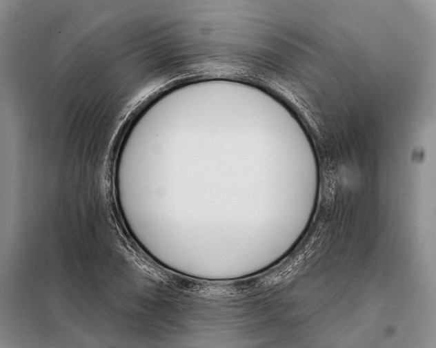 X0000098051074200804181317