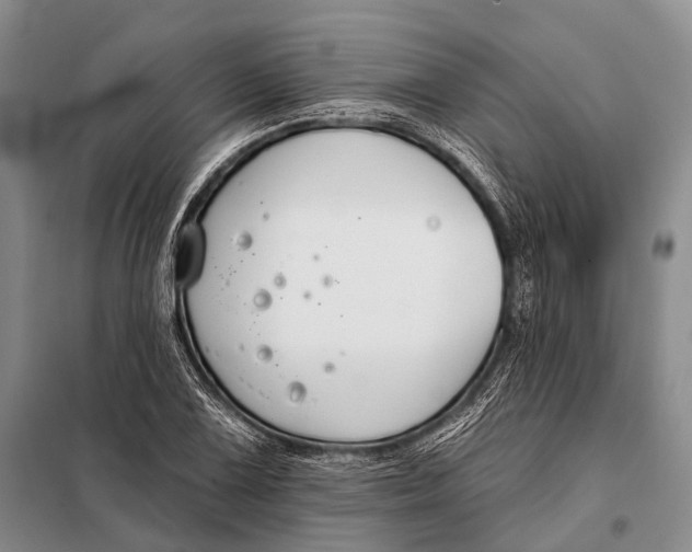 X0000098051075200804181317