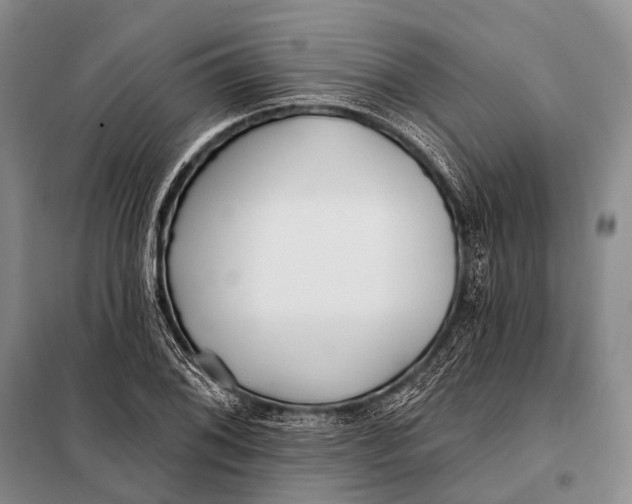 X0000098051076200804181317