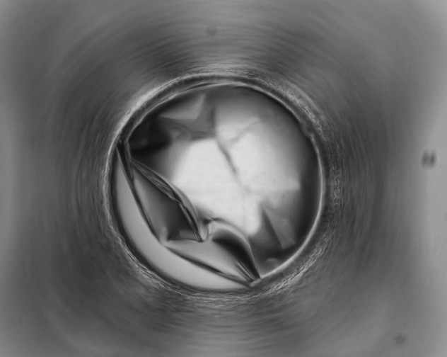 X0000098051077200804181317