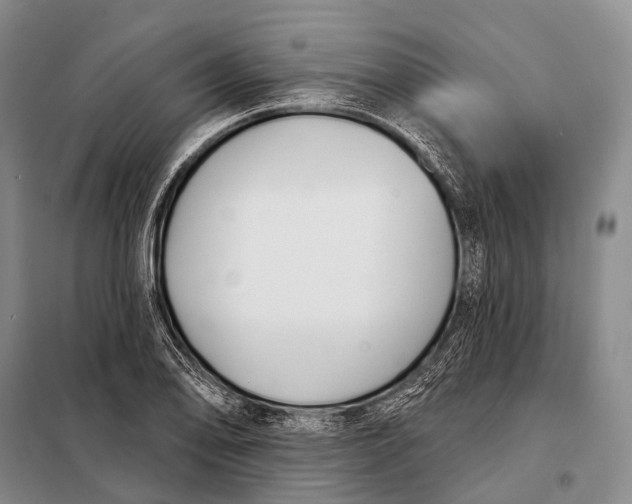 X0000098051078200804181317