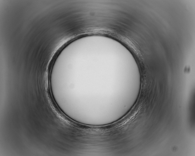 X0000098051079200804181317