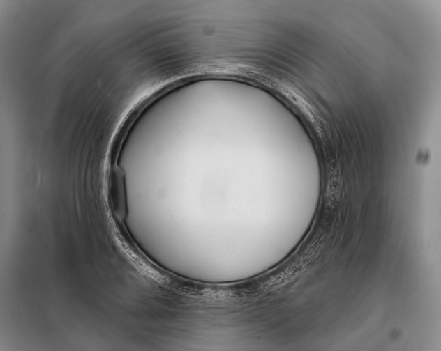 X0000098051080200804181317