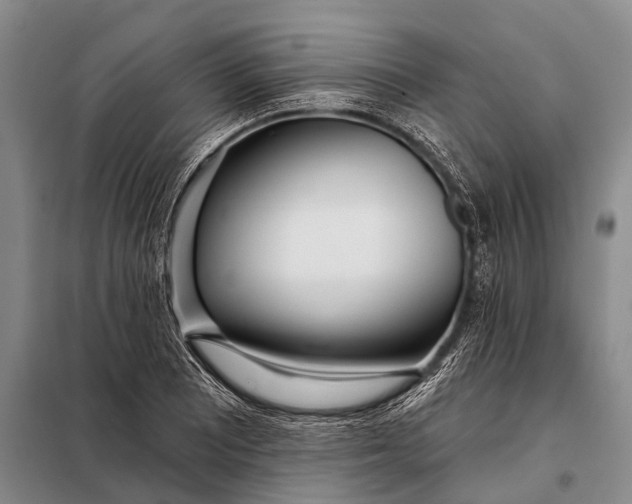 X0000098051081200804181317