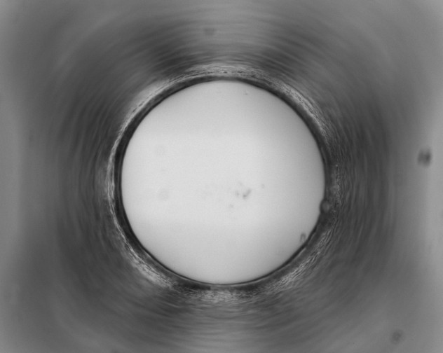 X0000098051082200804181317