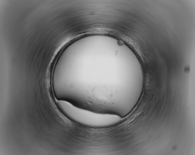 X0000098051083200804181317