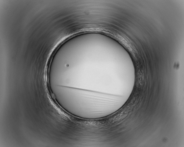 X0000098051084200804181317