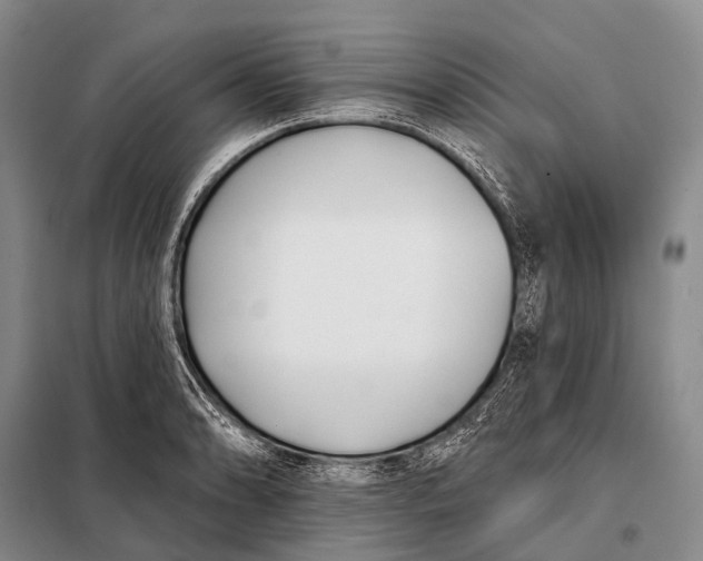 X0000098051086200804181317