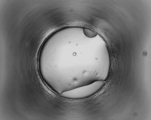 X0000098051087200804181317