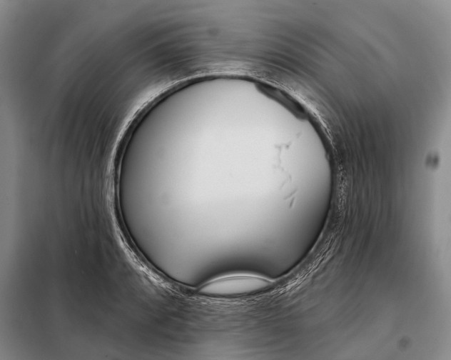 X0000098051088200804181317