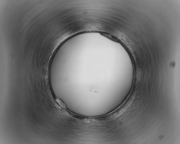 X0000098051089200804181317