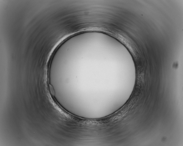 X0000098051092200804181317