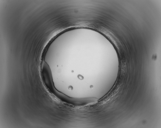 X0000098051093200804181317