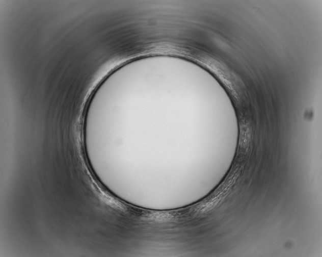 X0000098051094200804181317