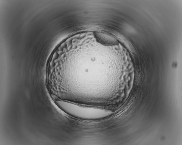 X0000098051095200804181317