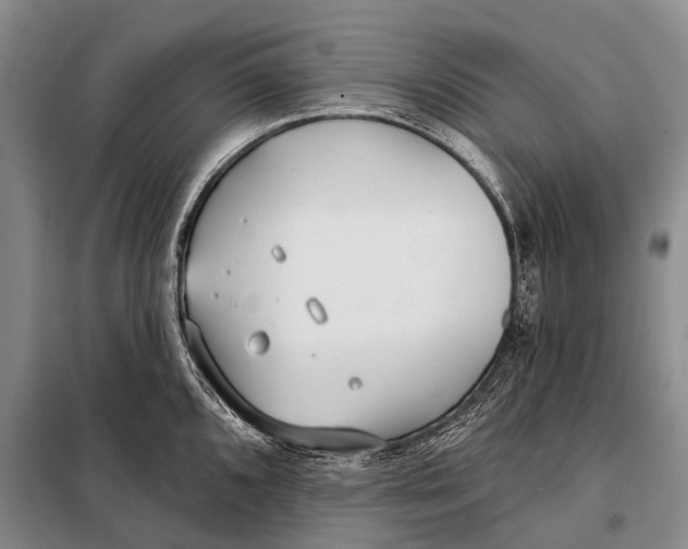 X0000098051096200804181317