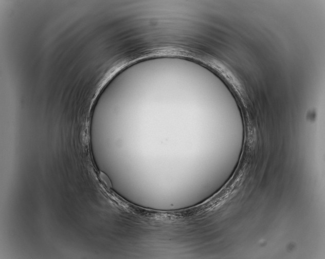 X0000098051097200804181317