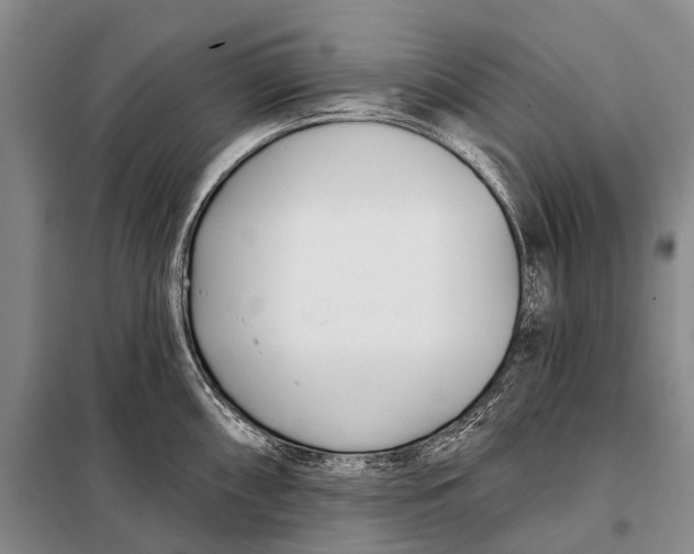 X0000098051098200804181317