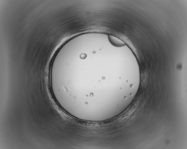 X0000098051099200804181317