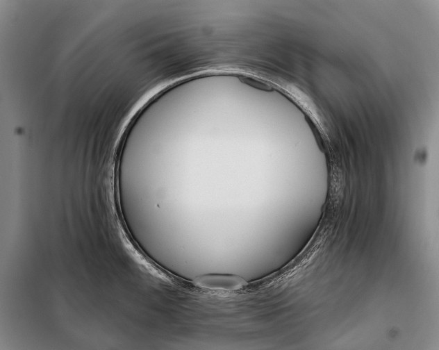 X0000098051100200804181317