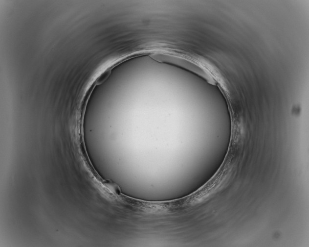 X0000098051101200804181317