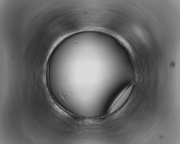 X0000098051102200804181317