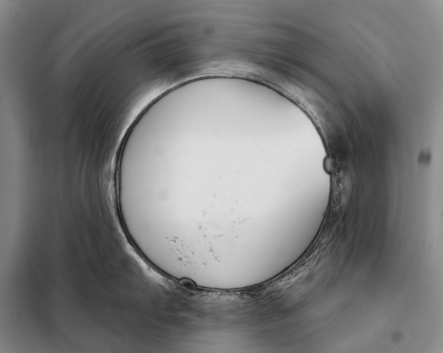 X0000098051103200804181317