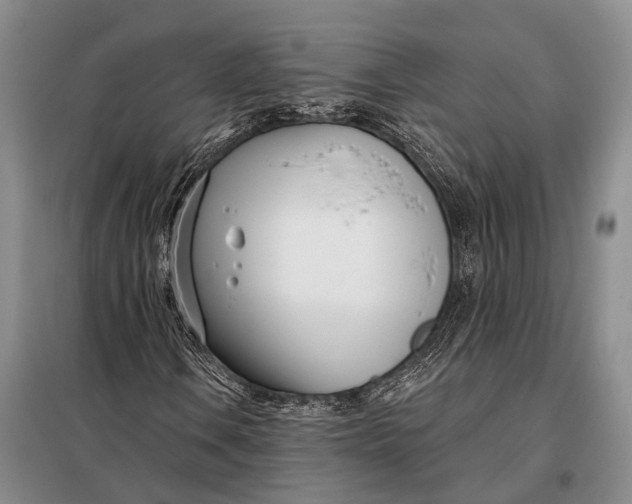 X0000098051106200804181316