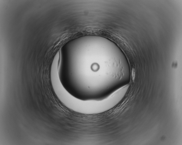 X0000098051107200804181316