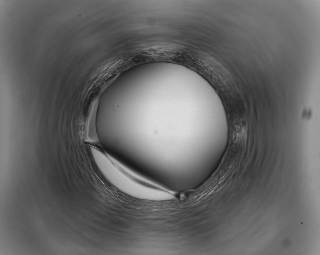 X0000098051108200804181316