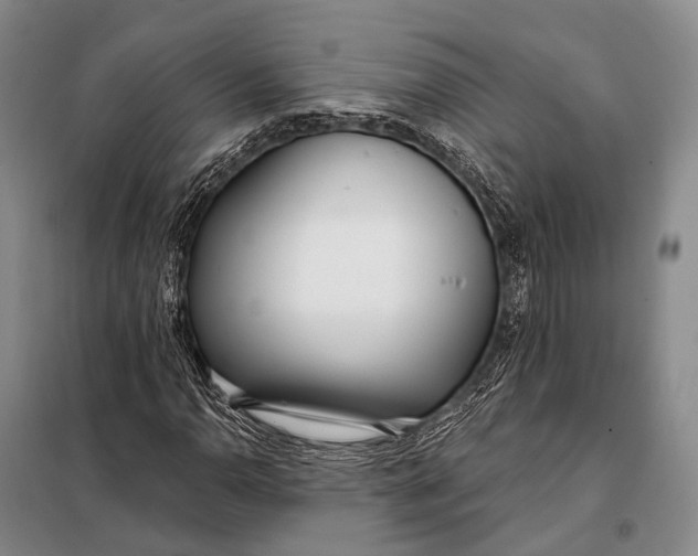 X0000098051110200804181316