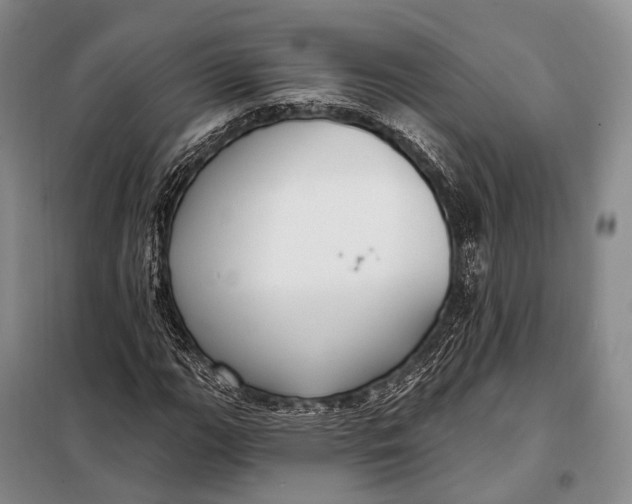 X0000098051111200804181316