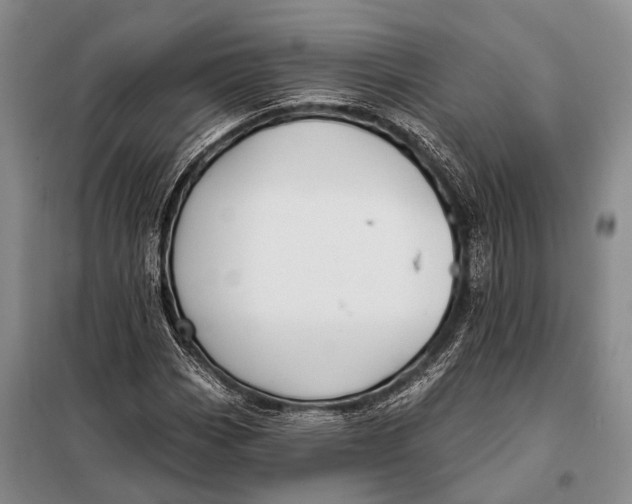 X0000098051113200804181316