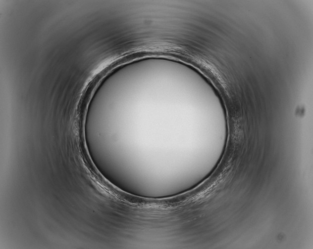 X0000098051114200804181316