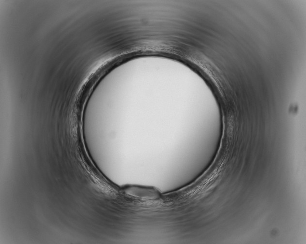 X0000098051115200804181316