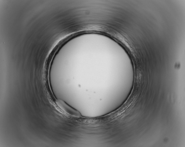 X0000098051116200804181316