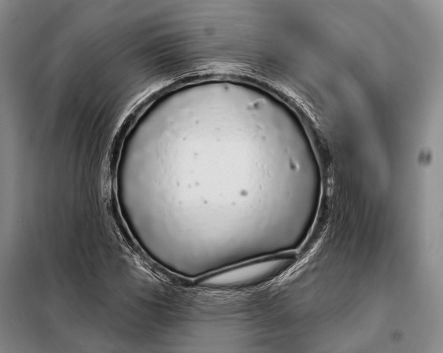 X0000098051117200804181316