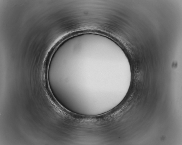 X0000098051118200804181316