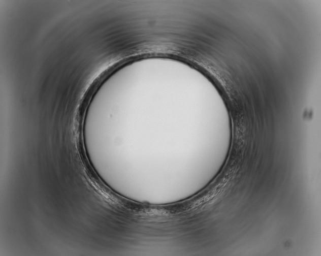 X0000098051119200804181316