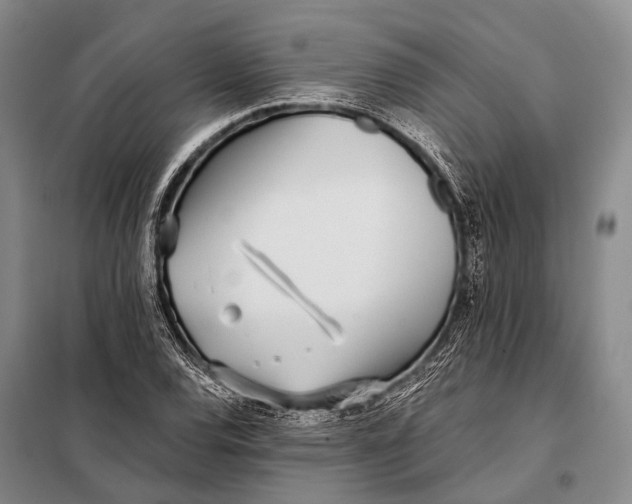 X0000098051120200804181316