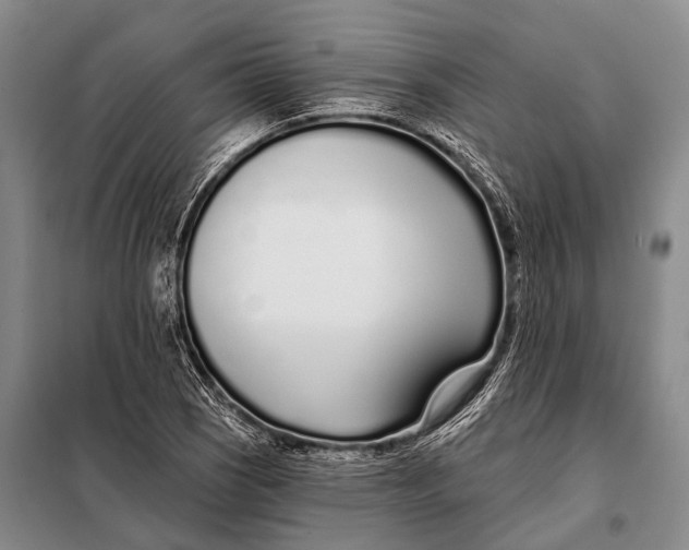 X0000098051121200804181316