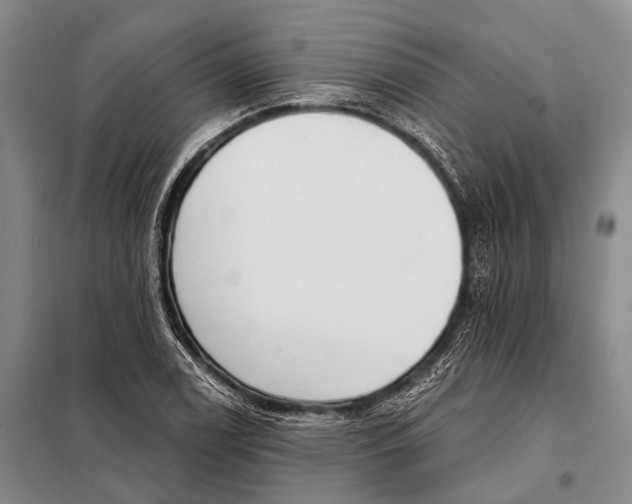 X0000098051122200804181316