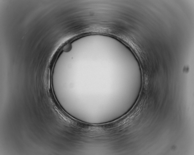 X0000098051123200804181316