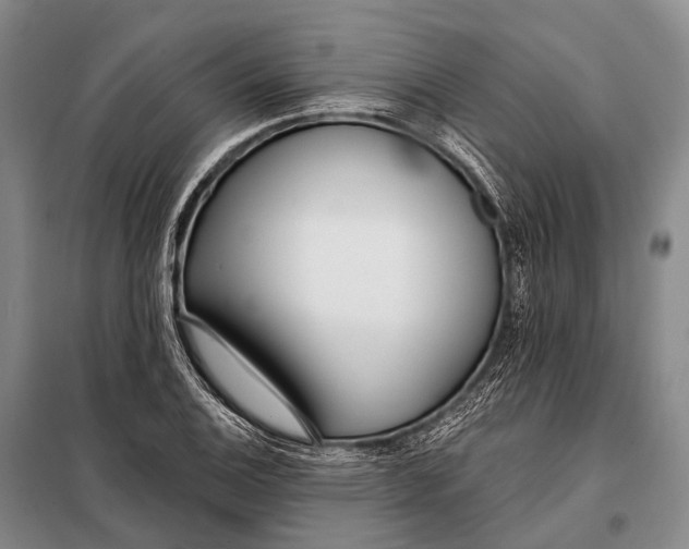 X0000098051124200804181316