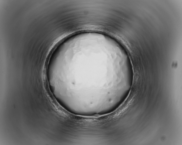 X0000098051125200804181316