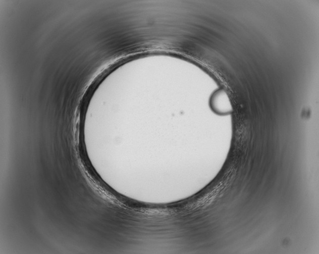 X0000098051126200804181316