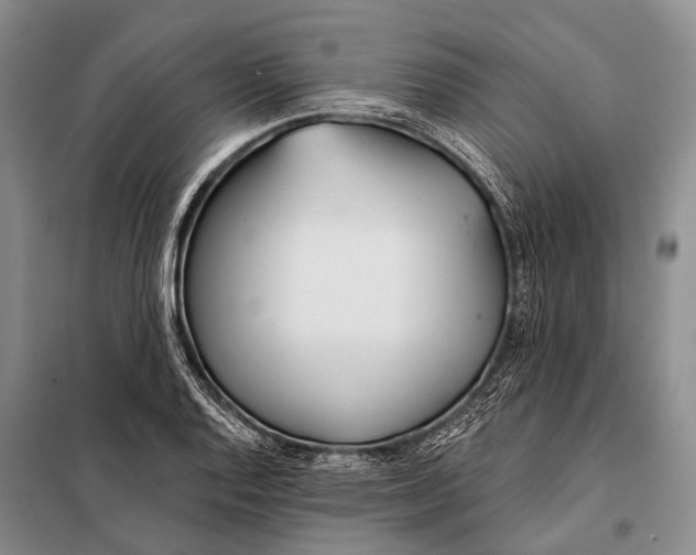 X0000098051128200804181317